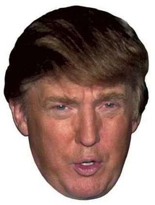 President Donald Trump 2020 Election Campaign - Big Head Window Cling Sticker
