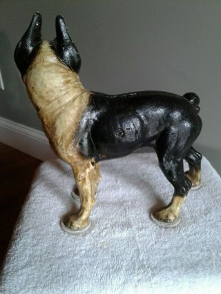 Antique vintage cast iron dog bank 2