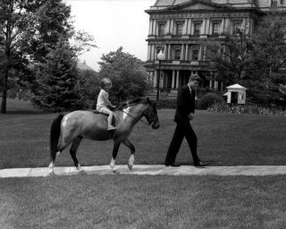 President John F.  Kennedy With Caroline And Pony Macaroni 8x10 Photo