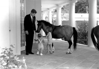 President John F.  Kennedy And Children With Pony Macaroni 1962 - 8x10 Photo