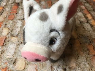 Disney Parks Pua Pig Moana Plush Stuffed Toy 10 " Guc