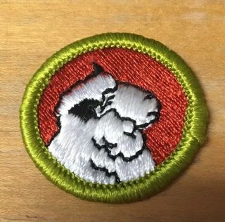 Boy Scouts Sheep Farming Merit Badge Type H " Blue Backing "