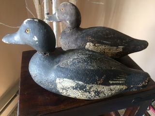 Pair Bluebill Duck Decoys - Best Decoy Co.  - York,  Ny 1890 - 1920 Orig Weights