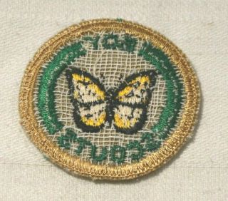 Butterfly Boy Scout Naturalist Proficiency Award Badge Tan Cloth Troop Large 2