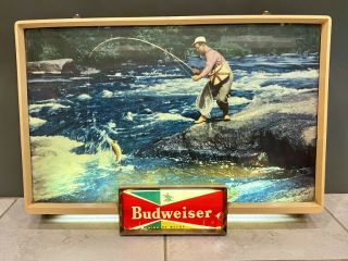 Vintage Budweiser Lighted Fishing Sign (all Metal) Large - 20 " X 14 "