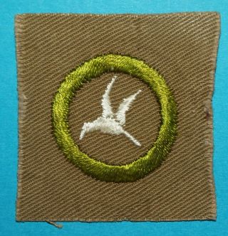 Bird Study Type A Merit Badge - Full Square - Bsa Logo Back - Boy Scouts H432