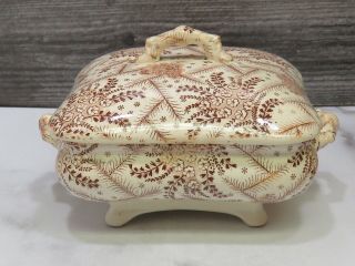 Antique Aesthetic Brown Transferware Covered Butter Dish Footed Box Square