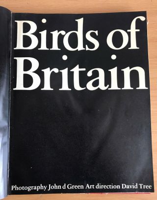 Vintage Birds of Britain by John d Green by Bodley Head 1967 Fashion Models 2