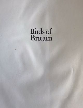 Vintage Birds of Britain by John d Green by Bodley Head 1967 Fashion Models 3
