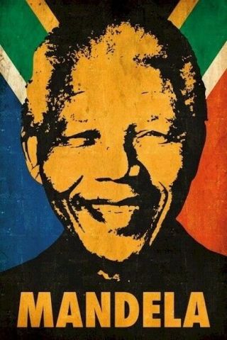 Nelson Mandela Colors And Flag 24x36 Political History Poster New/rolled