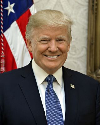 8x10 Photo: Donald Trump,  45th President Of The United States