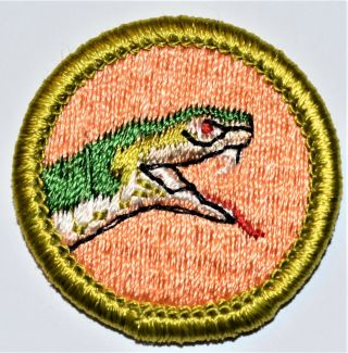 Boy Scouts Reptile Study Merit Badge Plastic Back Bsa