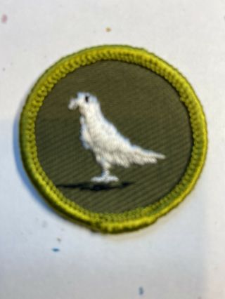 Pigeon Farming Merit Badge 1961 - 68 Type F Khaki rolled edge BSA 2
