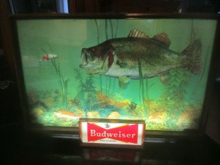 Vintage Budweiser Large Mouth Bass And Lure & Fishing Camp Lighted Sign 1950 