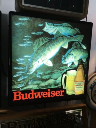 Vintage Budweiser Bud Walleye In Motion Bar Light Fishing Beer Sign.