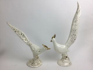Vtg Mid Century Modern White/gold Phoenix Pheasant Peacock Bird Figurine Pair