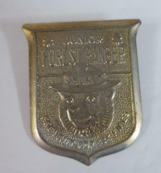 Vintage Smokey Bear Junior Forest Ranger Metal Tin Badge Pin