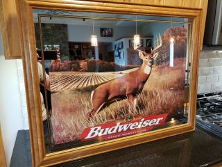 Rare Budweiser Anheuser - Busch Whitetail Deer Mirror Sign 36 " X 27 Hunting 1998