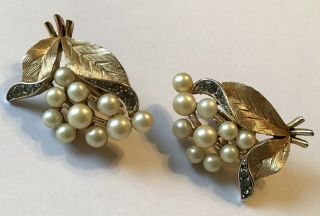 Vintage Crown Trifari Signed Pearl And Gray Rhinestone Garden Of Eden Earrings