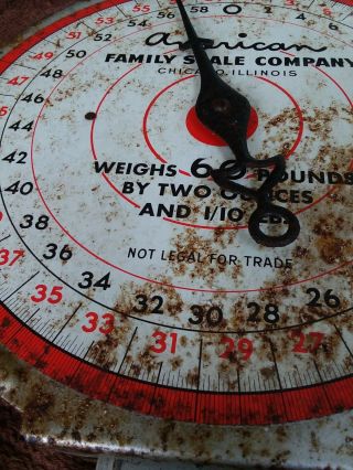 Vintage American Family Scale Co.  Chicago Ill.  Hanging No Basket Scale 60 Pounds