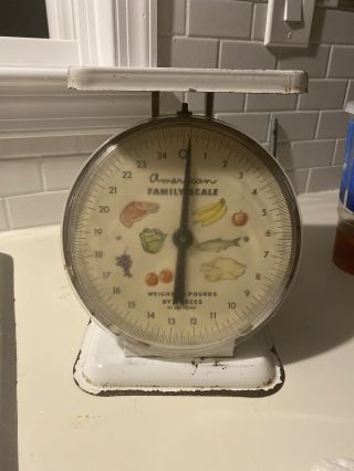 Vintage White Metal American Family Kitchen Scale 25 Lbs