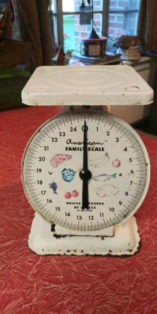 Vintage American Family Food Scale