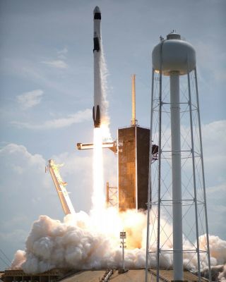Liftoff Of Spacex Demo - 2 Mission Falcon 9 Crew Dragon - 8x10 Nasa Photo (sp583)