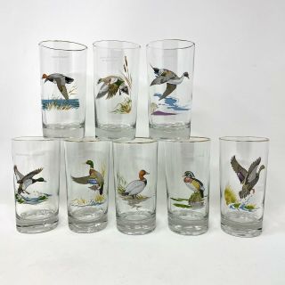 Set/8 Vintage Signed Ned Smith Highball Cocktail Glass Water Fowl Gold Rim Euc