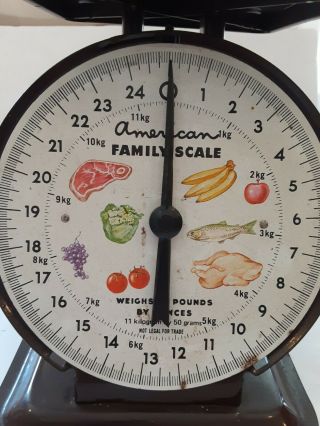 Vintage American Family Scale 25lb Kitchen Counter Utility Food Scale Decor Farm 2