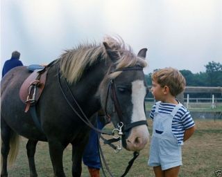 John F.  Kennedy Jr.  With A Pony August 1963 Jfk 8x10 Photo