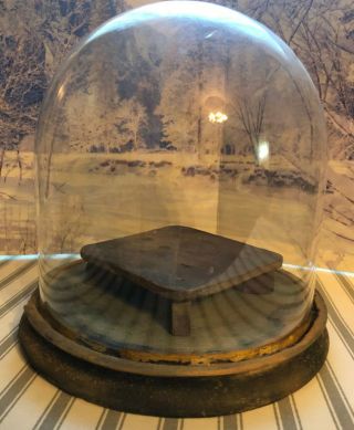 Antique 9 " X9 " Glass Cloche Dome Wood Base Display Case