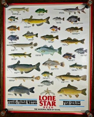 Vintage Lone Star Beer Texas Fresh Water Fish Series Poster