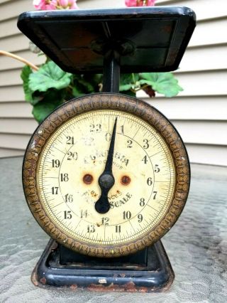 Vintage Antique Columbia Family Scale By Ounces 24 Lbs Trade Mark