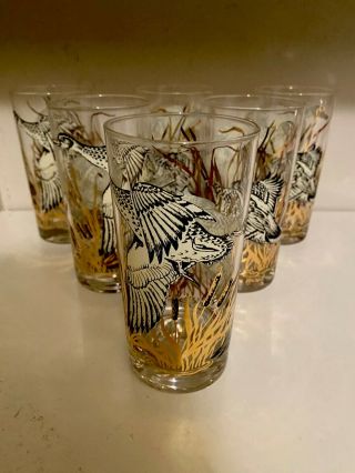 Georges Briard Vintage Set Of 6 High Ball 12oz Flying Geese Glasses -