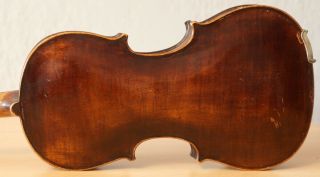 Old Violin 4/4 Geige Viola Cello Fiddle Label Lor E Tom Carcassi 1321