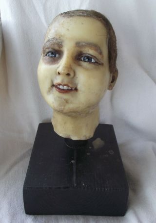 French Early 20th Century Wax Head Of A Small Boy,  Rare Item