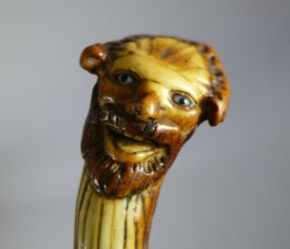 Rare Antique Folk Art Carved Antler Grotesque Face Walking Stick Cane Glass Eyes
