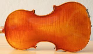Very Old Labelled Vintage Violin " Vincenzo Annarumma " Fiddleァイオリン Geige 1318