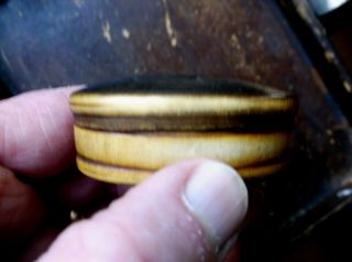 FINE ANTIQUE EARLY 19TH C COW HORN MINIATURE OVAL SNUFF BOX,  CARVED NAME 