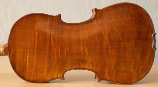 Old Violin 4/4 Geige Viola Cello Fiddle Label Francesco Ruggieri 1323