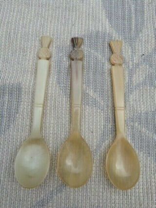 Three Antique Scottish Thistle Hand Carved Bovine Horn Spoons.