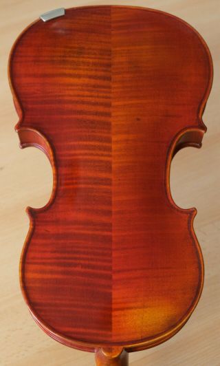 Old Violin 4/4 Geige Viola Cello Fiddle Label Pollastri Gaetano 1301