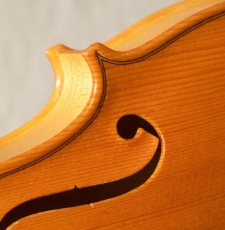 Old Violin 4/4 Geige Viola Cello Fiddle Label Degani Giulio Di Eugenio 1311