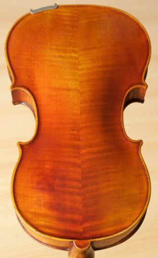Old Violin 4/4 Geige Viola Cello Fiddle Label Guerra Evasio Emiliano 1203