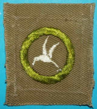 Bird Study Type A Full Square Merit Badge - Bsa Logo Back - Boy Scouts - X174