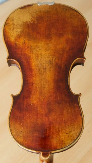 Old Violin 4/4 Geige Viola Cello Fiddle Label Francesco Gobetti 1238