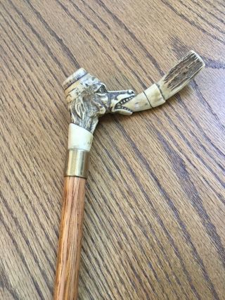 Antique Carved Dog’s Head Walking Stick Cane