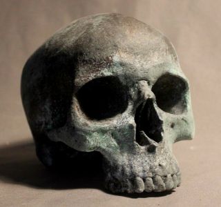 Human Skull Anatomical Medical Death Face Oddity Theater Film Prop Scientific