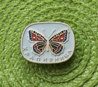 Russian Soviet Ussr Vintage Pin Badge " Hives Butterfly "