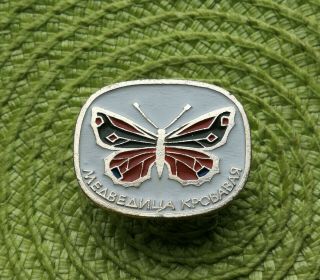 Russian Soviet Ussr Vintage Pin Badge " Bloody Bear Butterfly "